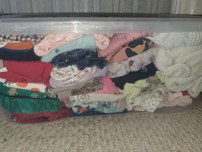 baby girl bundle 6-9 and 9-12 months