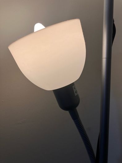 2 Floor Lamps