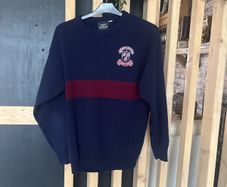school sweater - uniform