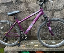 Jewel Apollo Bike