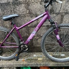 Jewel Apollo Bike