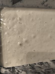 sourdough starter
