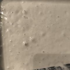 sourdough starter