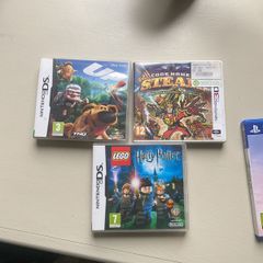 DS and 3DS game