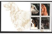 2016 Ireland Dogs: Irish Wolfhound, Irish red setter, sheepdog, Kerry Blue Commemorative Stamps Miniature Sheet Mint Never Hinged (MNH)