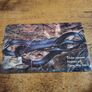 Cyprus Phonecard "Coin Snake", used, 5/2002, 3 Cypriot Pound - free standard postage Image 2