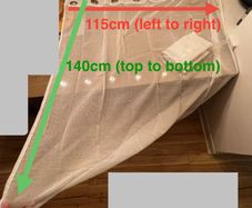 White voile curtains (2 panels)