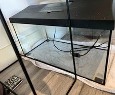 Fish tank
