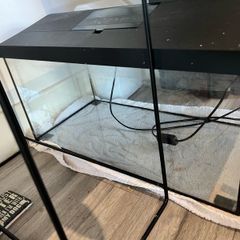 Fish tank