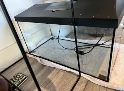 Fish tank