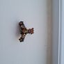 Six small hair grabbers Image 2
