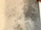 Carpet cleaning Image 8