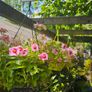 Hanging Baskets, Wall Cones Image 2