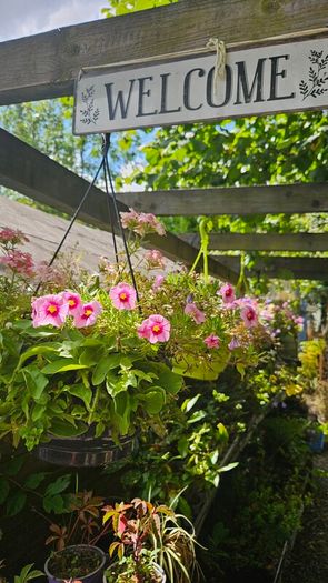 Hanging Baskets, Wall Cones