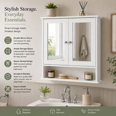 Bathroom Mirror Cabinet with Double Doors
