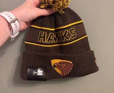 Hawthorn Hawks beanie