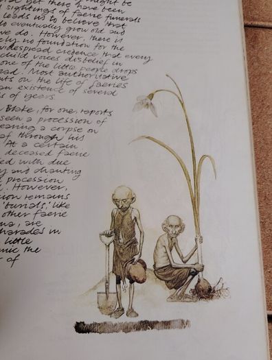 Vintage 1979 Faeries Book - Alan Lee Cover Variant (Pan Books First Printing)