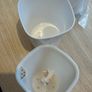 Self watering plant pots Image 3