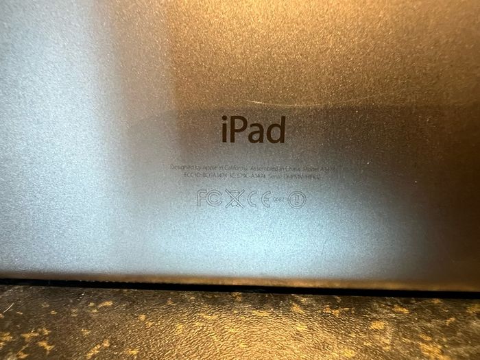 Apple iPad