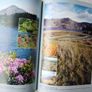 County Kerry - A Natural History Image 2