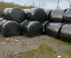 Silage for sale