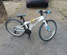 Ladies Bike