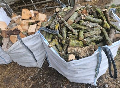 Firewood