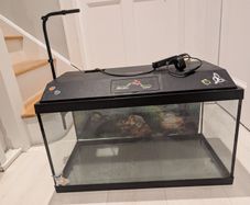 Fish tank 60cm by 35cm