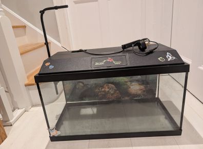 Fish tank 60cm by 35cm