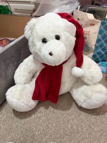 teddy