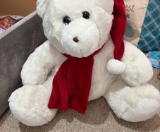 teddy
