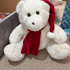 teddy