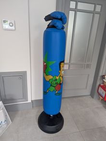 Kids punch bag and gloves