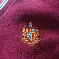 Sr fintans secondary school uniform senior jumper size 44