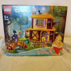 Lego Disney Aurora's Forest Cottage