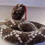 Snake Soft Plush Toy LARGE Image 3