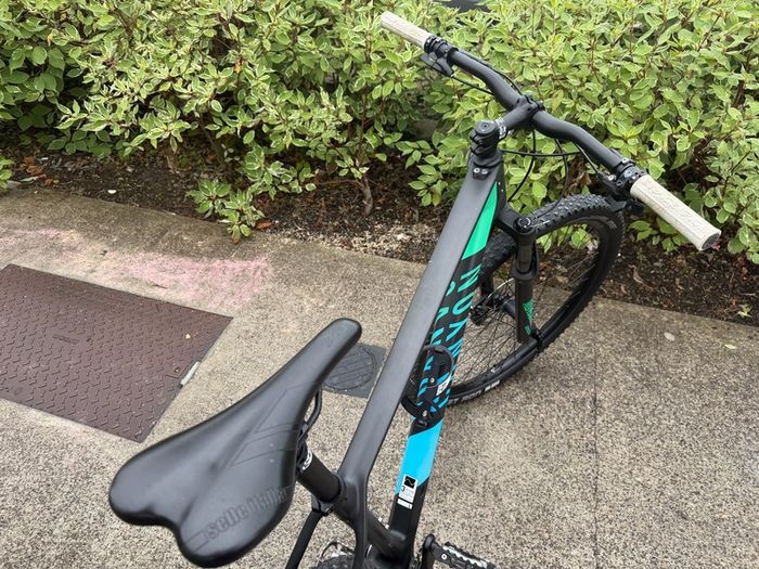 Canyon Exceed Full Carbon