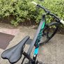 Canyon Exceed Full Carbon Image 9