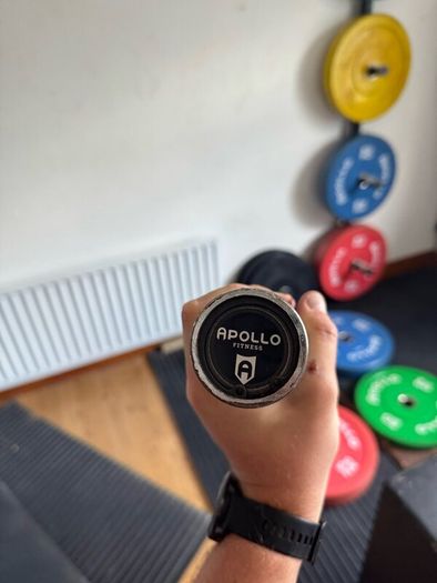 Weighted Plates + Barbells