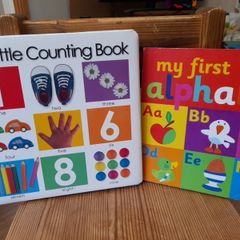 Young child board book bundle