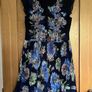 Oasis Dresses Image 6