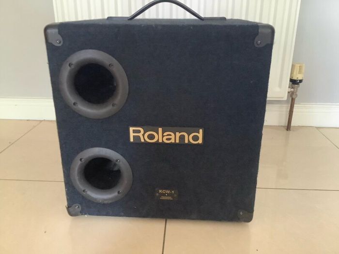 Roland 135 Watts Subwoofer