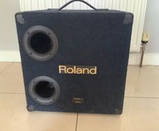 Roland 135 Watts Subwoofer