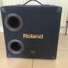 Roland 135 Watts Subwoofer