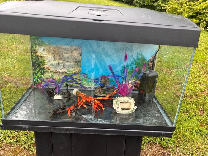 Fish tank