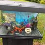 Fish tank Image 2