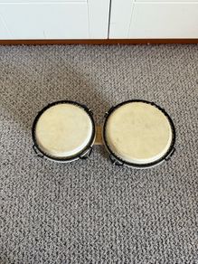bongo