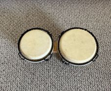 bongo