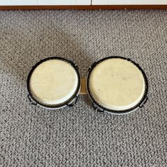 bongo