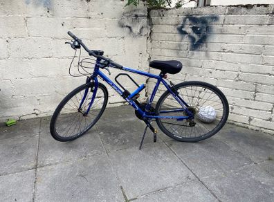 Apollo 700 Bike